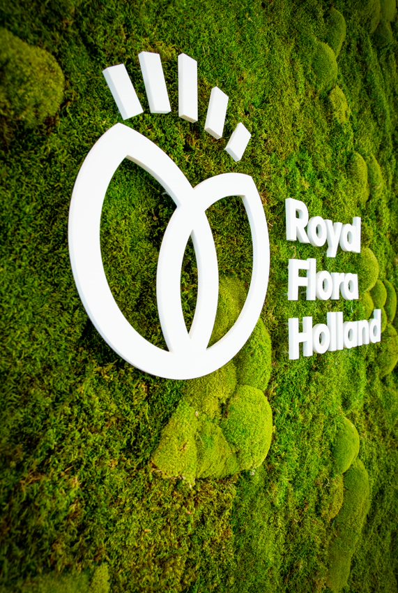 Logo RFH op groene wand